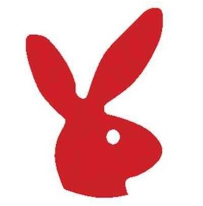 ADHESIVE BUNNY - Roll