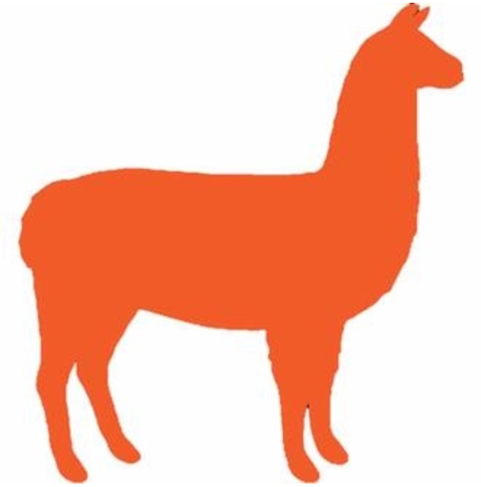 ADHESIVE LLAMA - Roll